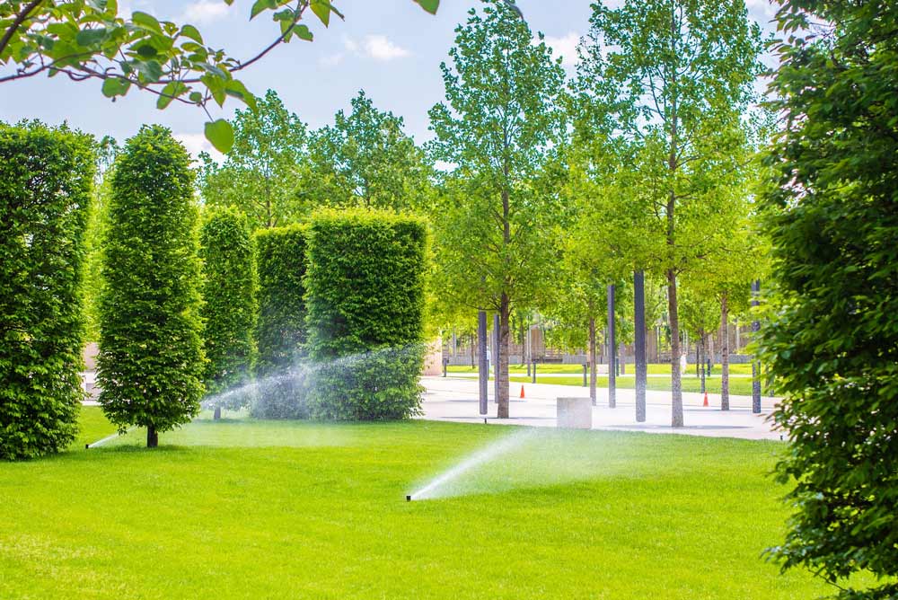 Green Sea S.r.l. Impianti irrigazione giardini. Progettazione - realizzazione sistemi irrigazione prati, giardini - Sassari - Alghero - Olbia costa Smeralda
