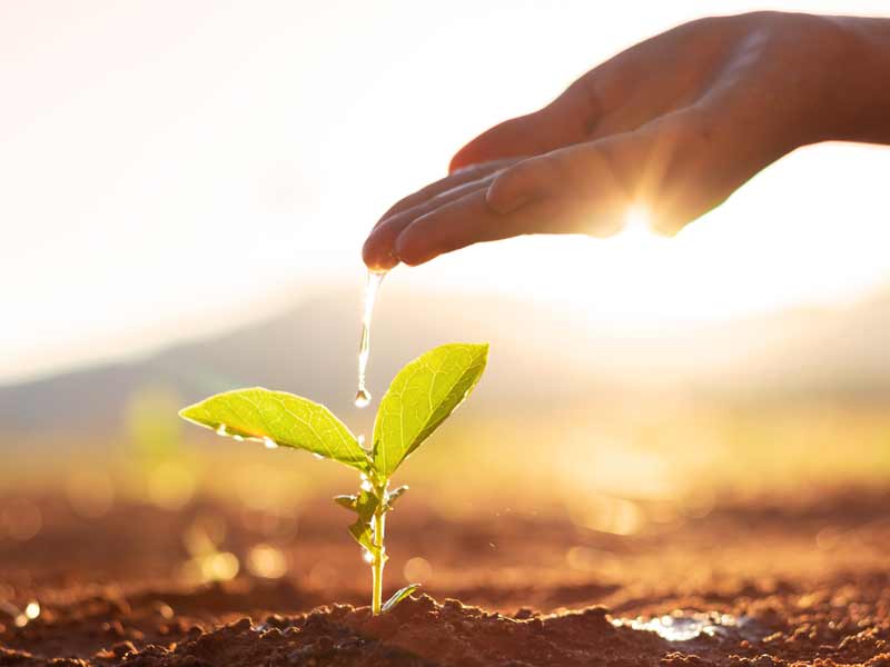 Impianti irrigazione giardini. Progettazione - realizzazione sistemi irrigazione prati, giardini - Sassari - Alghero - Olbia costa Smeralda